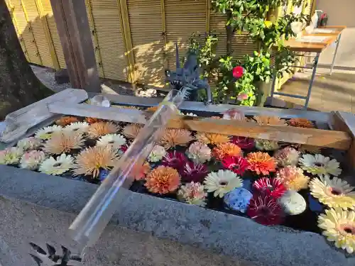 蛇窪神社(東京都)