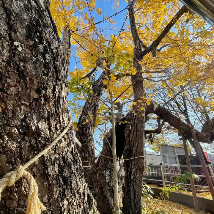 豊受神社の自然