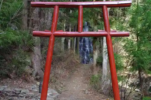 河口浅間神社の鳥居