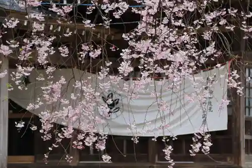 王宮伊豆神社の自然