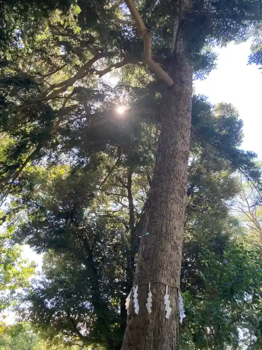 葛原岡神社の自然