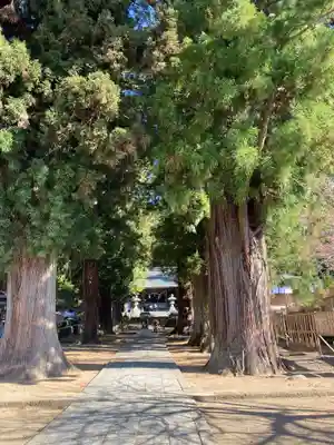 河口浅間神社のその他建物