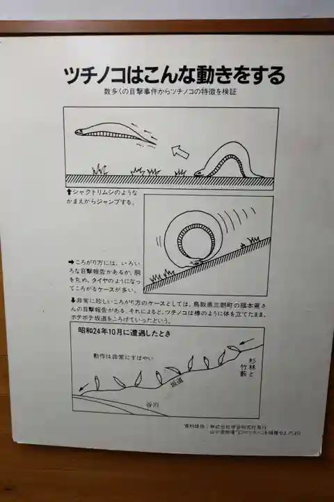 つちのこ神社(親田槌の子神社)(岐阜県)