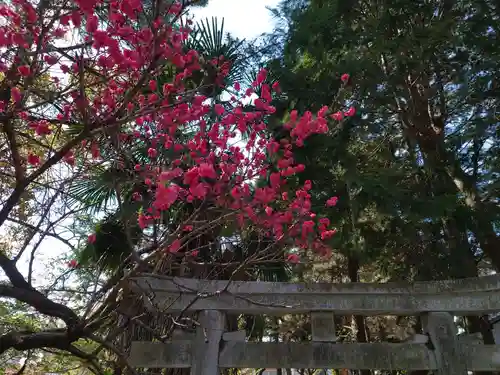 真清田神社の自然