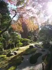 報国寺の庭園