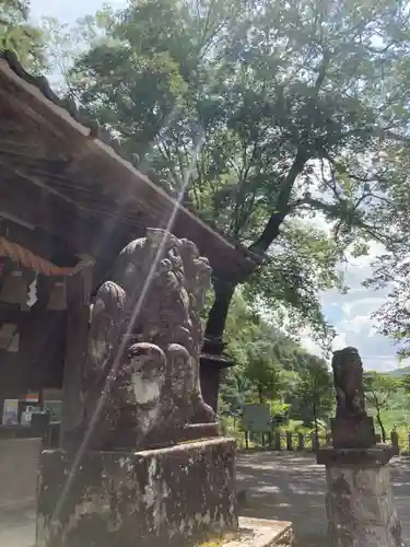 白瀧神社の狛犬