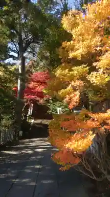 葛城一言主神社(奈良県)