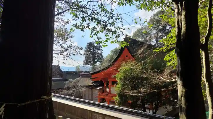 出雲大神宮(京都府)