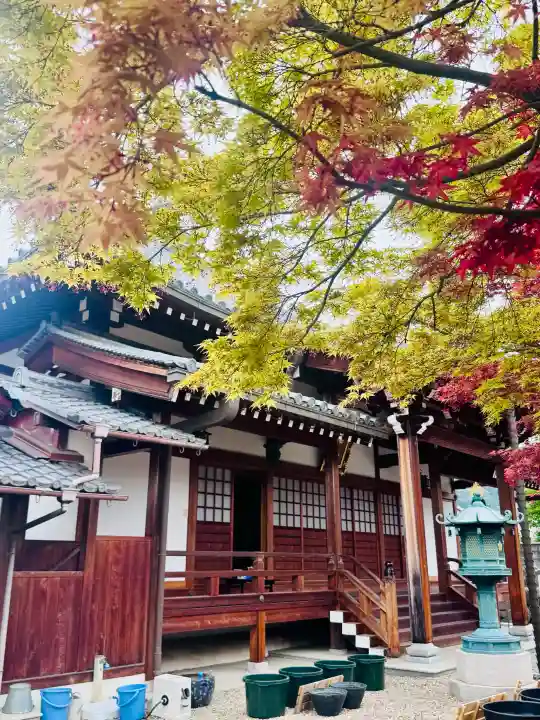 西福寺の{uncategorized: "未分類", other: "その他", undefined: "問題あり", building: "その他建物", grave: "お墓", sacred_gate: "鳥居", guardian: "狛犬", statue: "像", buddha: "仏像", history: "歴史", nature: "自然", garden: "庭園", animal: "動物", pagoda: "塔", temizu: "手水舎", mountain_gate: "山門・神門", sanctuary: "本殿・本堂", subordinate: "末社・摂社", art: "芸術", scenery: "景色", jizo: "地蔵", ema: "絵馬", goshuin: "御朱印", omikuji: "おみくじ", items: "授与品その他", amulet: "お守り", goshuincho: "御朱印帳", eats: "食事", festival: "お祭り", votive_dance: "神楽", shichigosan: "七五三参", wedding: "結婚式", experience: "体験その他", initially: "初詣", around: "周辺", anti_infection: "感染症対策"}