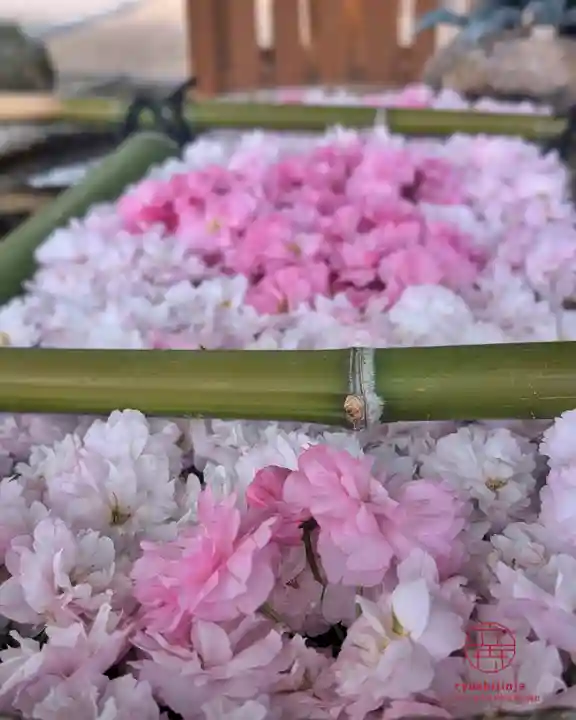 立志神社(滋賀県)