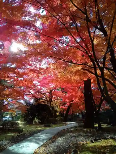 正樂寺(宮城県)