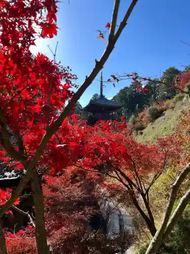 常樂寺(滋賀県)