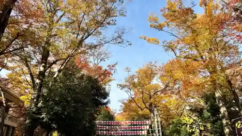 大國魂神社の{uncategorized: "未分類", other: "その他", undefined: "問題あり", building: "その他建物", grave: "お墓", sacred_gate: "鳥居", guardian: "狛犬", statue: "像", buddha: "仏像", history: "歴史", nature: "自然", garden: "庭園", animal: "動物", pagoda: "塔", temizu: "手水舎", mountain_gate: "山門・神門", sanctuary: "本殿・本堂", subordinate: "末社・摂社", art: "芸術", scenery: "景色", jizo: "地蔵", ema: "絵馬", goshuin: "御朱印", omikuji: "おみくじ", items: "授与品その他", amulet: "お守り", goshuincho: "御朱印帳", eats: "食事", festival: "お祭り", votive_dance: "神楽", shichigosan: "七五三参", wedding: "結婚式", experience: "体験その他", initially: "初詣", around: "周辺", anti_infection: "感染症対策"}