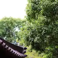 三津厳島神社のその他建物