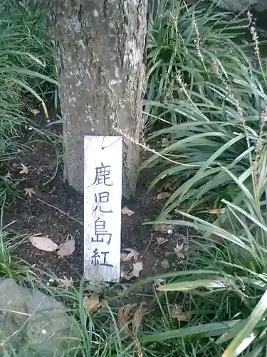 荏柄天神社の自然