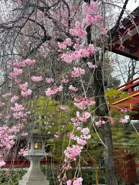 秩父神社の{uncategorized: "未分類", other: "その他", undefined: "問題あり", building: "その他建物", grave: "お墓", sacred_gate: "鳥居", guardian: "狛犬", statue: "像", buddha: "仏像", history: "歴史", nature: "自然", garden: "庭園", animal: "動物", pagoda: "塔", temizu: "手水舎", mountain_gate: "山門・神門", sanctuary: "本殿・本堂", subordinate: "末社・摂社", art: "芸術", scenery: "景色", jizo: "地蔵", ema: "絵馬", goshuin: "御朱印", omikuji: "おみくじ", items: "授与品その他", amulet: "お守り", goshuincho: "御朱印帳", eats: "食事", festival: "お祭り", votive_dance: "神楽", shichigosan: "七五三参", wedding: "結婚式", experience: "体験その他", initially: "初詣", around: "周辺", anti_infection: "感染症対策"}
