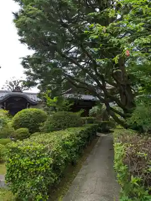 東向観音寺(京都府)