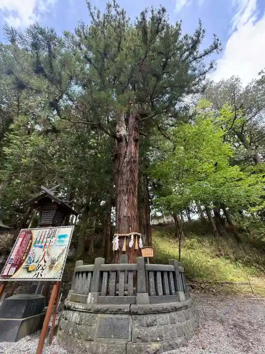 諏訪大社下社春宮(長野県)