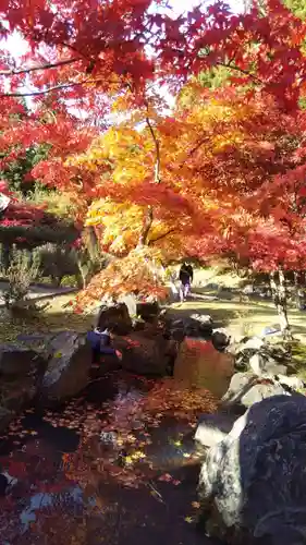 龍興山神社の庭園