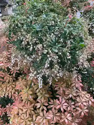 泉徳寺(愛知県)