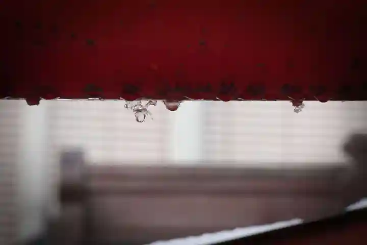 笠森稲荷神社(東京都)