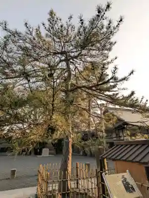 氣比神宮の{uncategorized: "未分類", other: "その他", undefined: "問題あり", building: "その他建物", grave: "お墓", sacred_gate: "鳥居", guardian: "狛犬", statue: "像", buddha: "仏像", history: "歴史", nature: "自然", garden: "庭園", animal: "動物", pagoda: "塔", temizu: "手水舎", mountain_gate: "山門・神門", sanctuary: "本殿・本堂", subordinate: "末社・摂社", art: "芸術", scenery: "景色", jizo: "地蔵", ema: "絵馬", goshuin: "御朱印", omikuji: "おみくじ", items: "授与品その他", amulet: "お守り", goshuincho: "御朱印帳", eats: "食事", festival: "お祭り", votive_dance: "神楽", shichigosan: "七五三参", wedding: "結婚式", experience: "体験その他", initially: "初詣", around: "周辺", anti_infection: "感染症対策"}