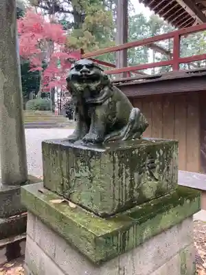 出雲祝神社の狛犬