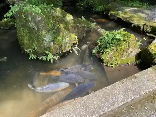 石山寺(滋賀県)