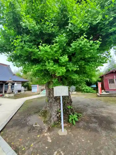 滿福寺(栃木県)
