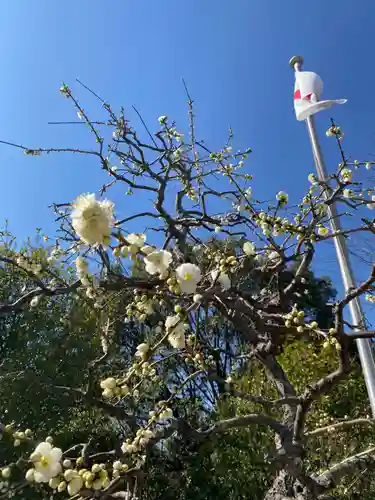 比佐豆知神社の自然