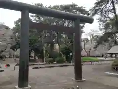 埼玉縣護國神社の鳥居