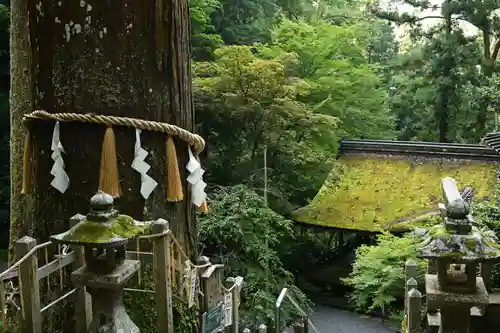 由岐神社(京都府)
