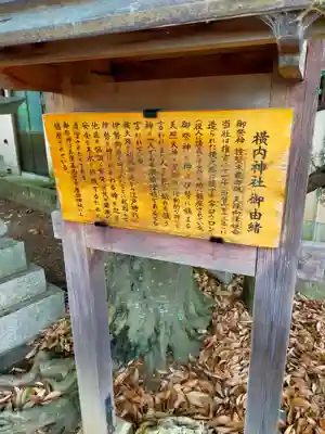 撞賢木厳之御魂天疎向津媛命神社(奈良県)