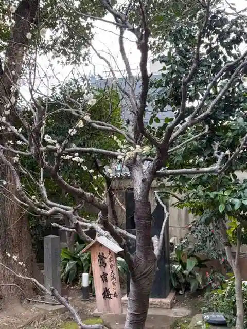 小野照崎神社(東京都)