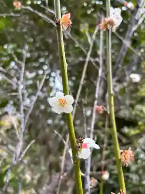 清勝寺(兵庫県)
