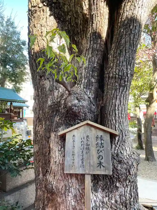 三輪神社(愛知県)