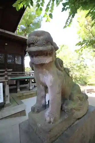 千束八幡神社の狛犬