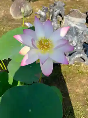 大光寺(大阪府)