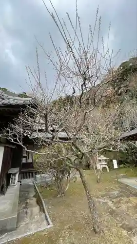 岩殿寺(神奈川県)
