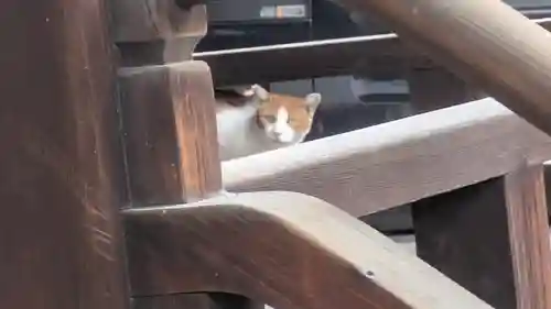 稱名寺(京都府)