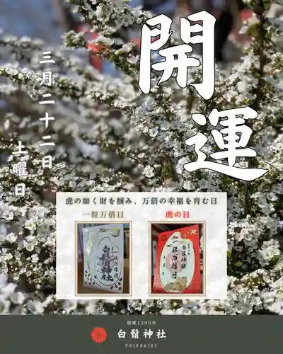 白鬚神社(宮崎県)