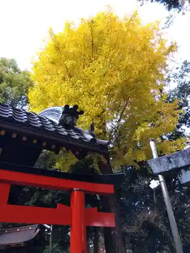 白雲神社(京都府)