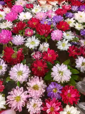 高円寺氷川神社の手水舎