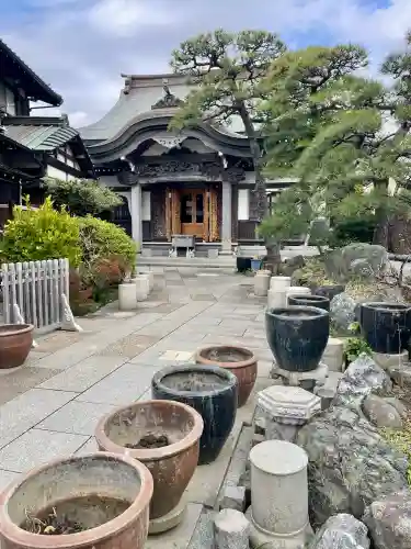 日蓮宗龍口山本龍寺の{uncategorized: "未分類", other: "その他", undefined: "問題あり", building: "その他建物", grave: "お墓", sacred_gate: "鳥居", guardian: "狛犬", statue: "像", buddha: "仏像", history: "歴史", nature: "自然", garden: "庭園", animal: "動物", pagoda: "塔", temizu: "手水舎", mountain_gate: "山門・神門", sanctuary: "本殿・本堂", subordinate: "末社・摂社", art: "芸術", scenery: "景色", jizo: "地蔵", ema: "絵馬", goshuin: "御朱印", omikuji: "おみくじ", items: "授与品その他", amulet: "お守り", goshuincho: "御朱印帳", eats: "食事", festival: "お祭り", votive_dance: "神楽", shichigosan: "七五三参", wedding: "結婚式", experience: "体験その他", initially: "初詣", around: "周辺", anti_infection: "感染症対策"}