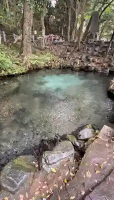 泉神社(茨城県)