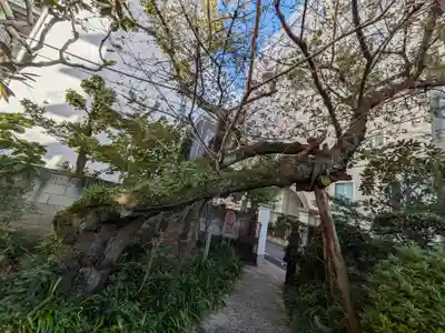 金竜寺(東京都)