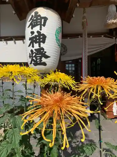 水堂須佐男神社(兵庫県)