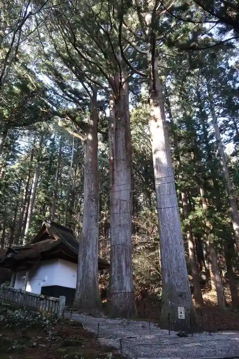 宝積山光前寺(長野県)