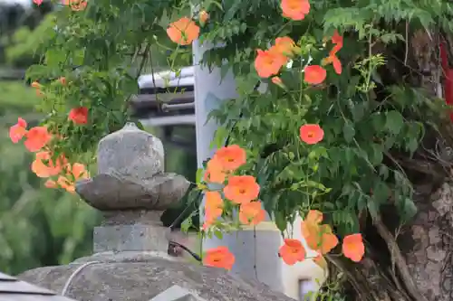 大鏑神社の自然