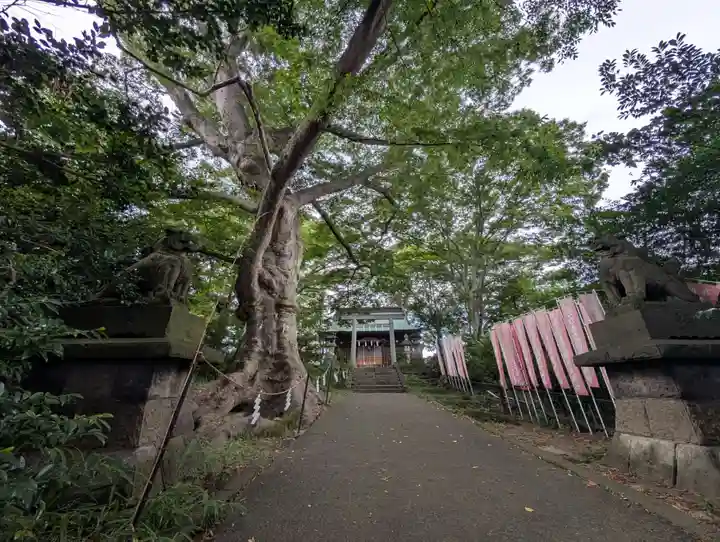 愛宕神社(福島県)